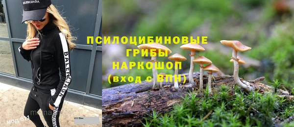 МДПВ Верхний Тагил